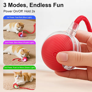 Interactive Automatic Rolling Motion Activated Chase Indoor Cat Ball Toy