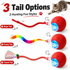 Interactive Automatic Rolling Motion Activated Chase Indoor Cat Ball Toy