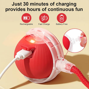 Interactive Automatic Rolling Motion Activated Chase Indoor Cat Ball Toy